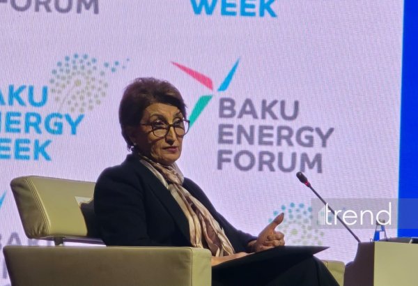 SOCAR weighs opportunities to speed up exploration in Azerbaijan