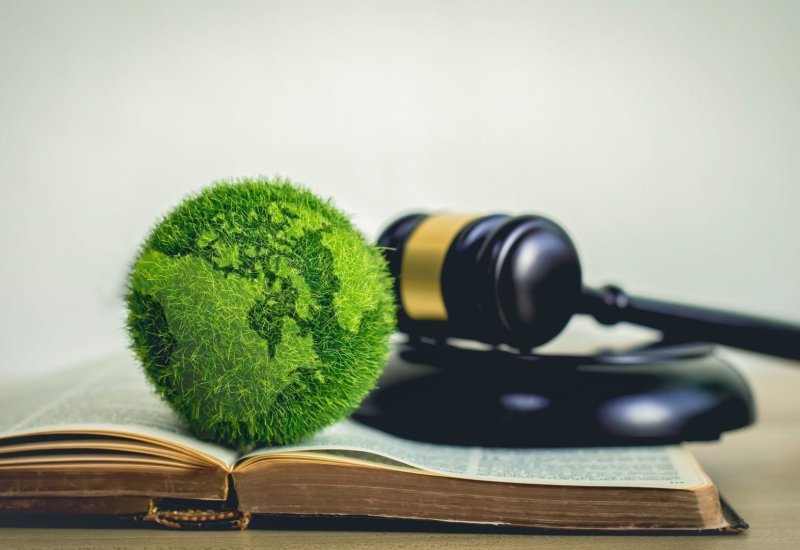 Uzbekistan links environmental goals with economic development