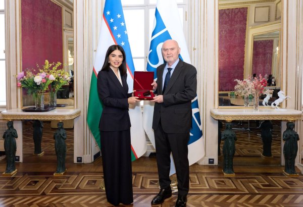 Uzbekistan, OSCE strengthen dialogue on security, technology and reform
