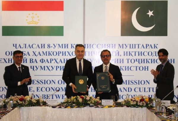 Tajikistan, Pakistan trade turnover reaches $43 mln in 2025