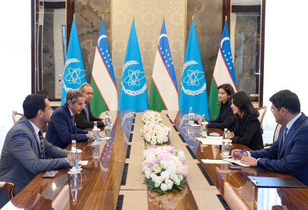 Uzbekistan, IAEA align nuclear infrastructure safety standards as Jizzakh NPP construction begins
