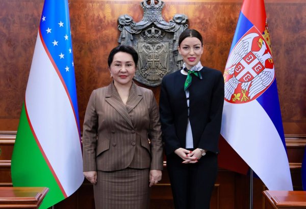 Uzbekistan, Serbia discuss trade and investment alliance