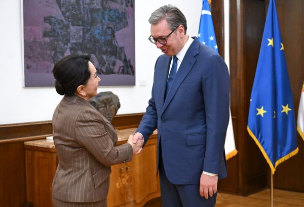 Uzbek senate, Serbian president seek to deepen political dialogue and economic ties