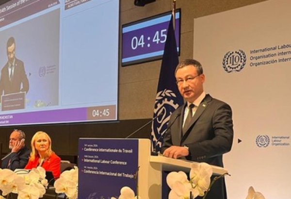 Digitalization of economy is a priority of Turkmenistan’s state policy - Labor Minister