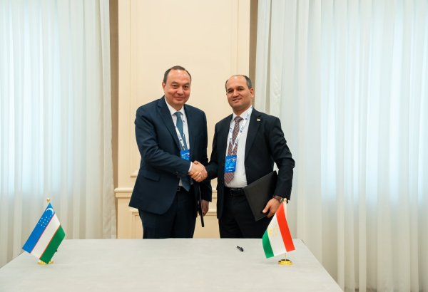 Uzbekistan, Tajikistan launch joint expert council to boost cooperation