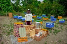 Initiated by Leyla Aliyeva, “Young beekeeper” project successfully implemented in Yevlakh district (PHOTO)