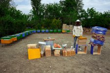 Initiated by Leyla Aliyeva, “Young beekeeper” project successfully implemented in Yevlakh district (PHOTO)