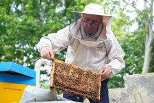 Initiated by Leyla Aliyeva, “Young beekeeper” project successfully implemented in Yevlakh district (PHOTO)