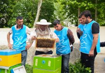 Initiated by Leyla Aliyeva, “Young beekeeper” project successfully implemented in Yevlakh district (PHOTO)