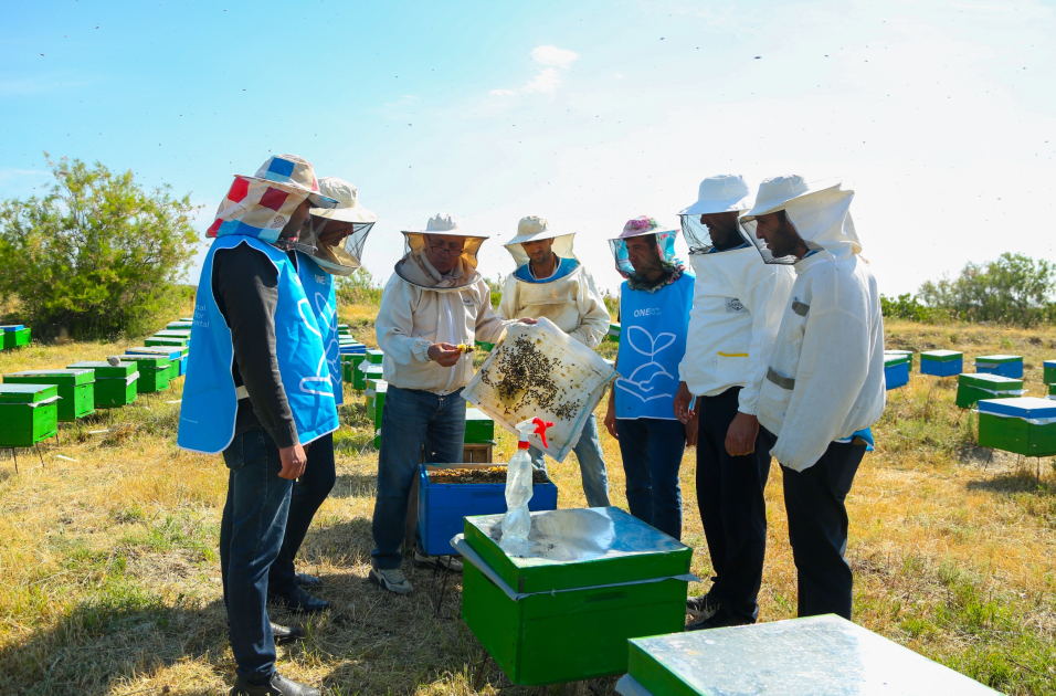 Initiated by Leyla Aliyeva, “Young beekeeper” project successfully implemented in Yevlakh district (PHOTO)