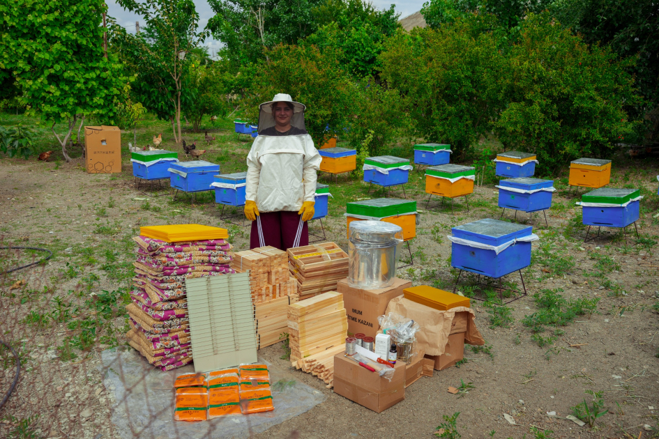 Initiated by Leyla Aliyeva, “Young beekeeper” project successfully implemented in Yevlakh district (PHOTO)