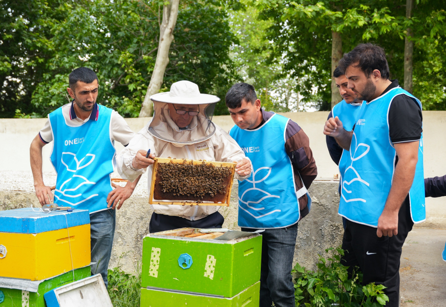 Initiated by Leyla Aliyeva, “Young beekeeper” project successfully implemented in Yevlakh district (PHOTO)