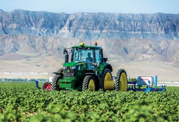Turkmenistan's agricultural sector maintains GDP growth in 5M2026