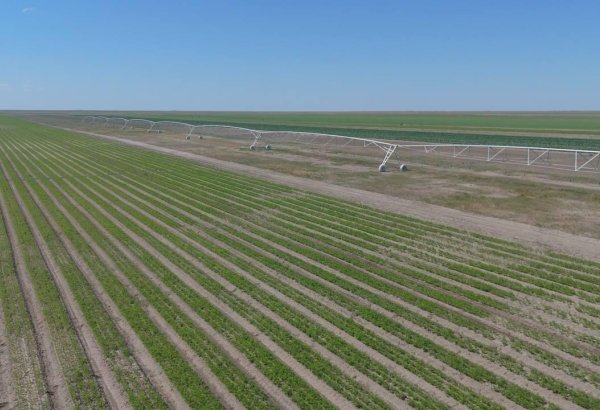 Kazakhstan expands usage of water-saving irrigation technologies in Atyrau