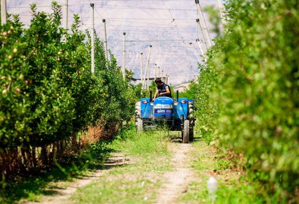 Turkmenistan over-fulfills agricultural investment plan in 5M2026