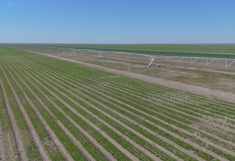 Kazakhstan set to launch 1,000 km of canals in 2026