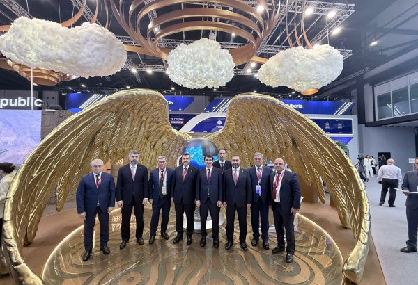 Azerbaijan’s First Deputy Economy Minister holds series of meetings at SPIEF (PHOTO)