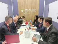 Azerbaijan’s First Deputy Economy Minister holds series of meetings at SPIEF (PHOTO)