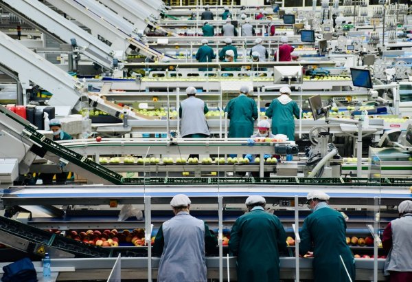 Türkiye's industrial sales reach $516B in 2025 as food and metals dominate