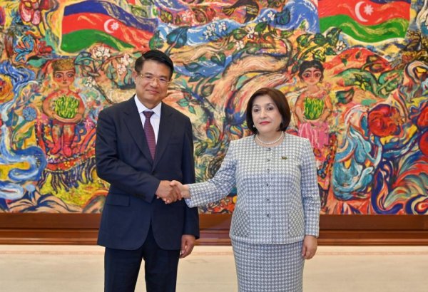 Azerbaijan invites Vietnam to deepen engagement in NAM Parliamentary Network (PHOTO)