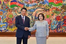 Azerbaijan invites Vietnam to deepen engagement in NAM Parliamentary Network (PHOTO)