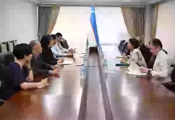 Uzbekistan, UNDP in talks to strengthen collaboration on digital and consular services