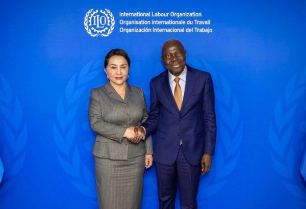 Uzbekistan advances labor reform agenda in talks with ILO Chief