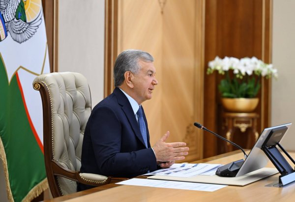 Uzbek President reviews plans to double geological discovery speed using AI