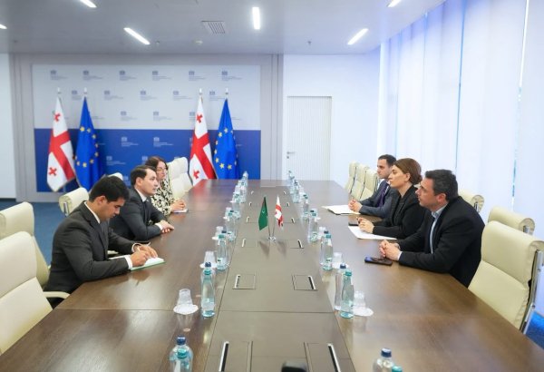 Turkmenistan, Georgia discuss expanding trade and economic cooperation