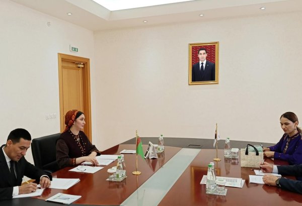 Turkmenistan, ICAPP discuss strengthening multidimensional co-op with Korea