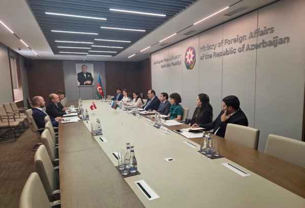 Azerbaijan, Austria hold first consular consultations (PHOTO)