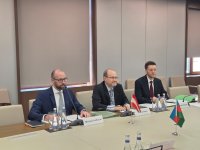 Azerbaijan, Austria hold first consular consultations (PHOTO)