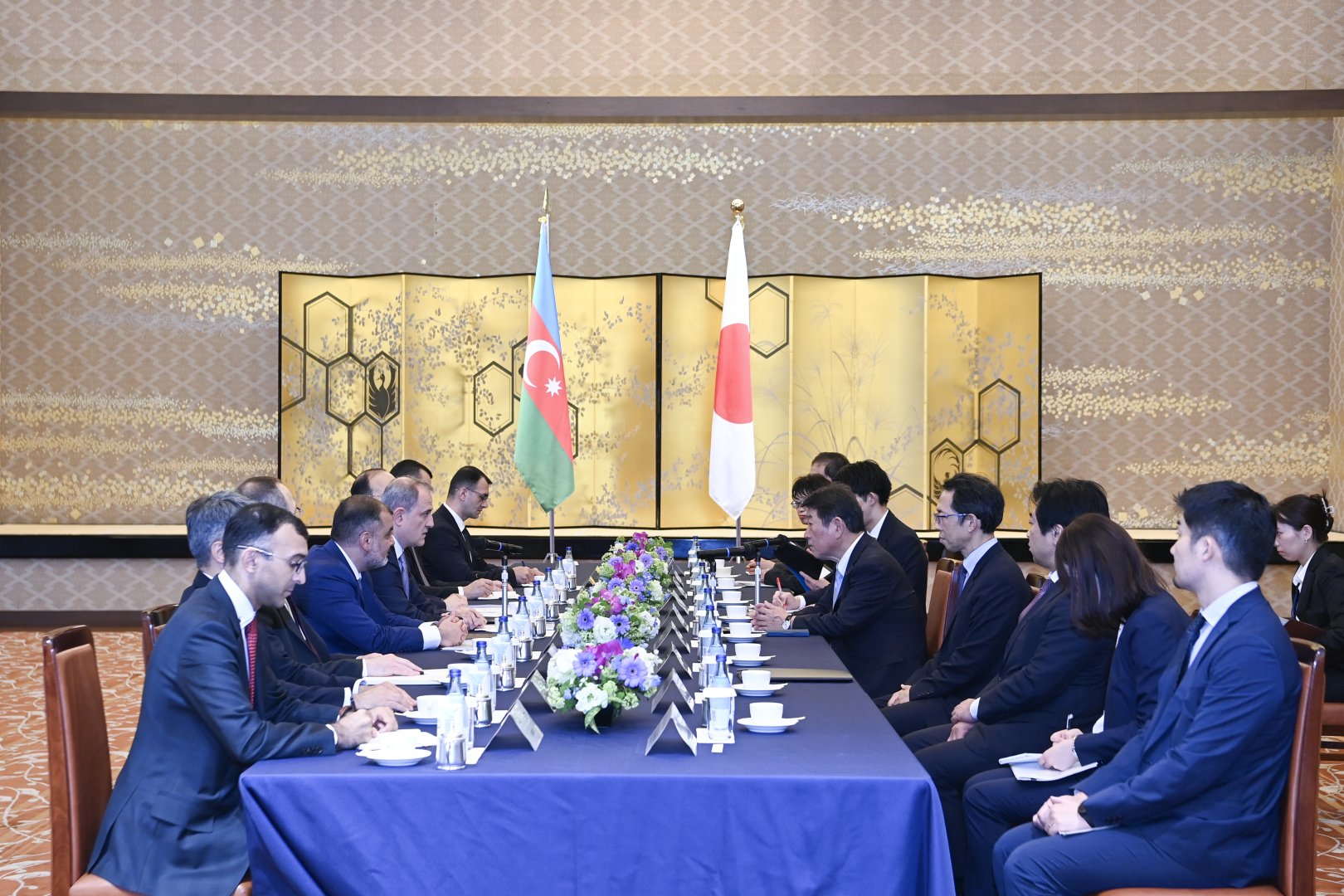 Azerbaijan, Japan hold strategic talks in high-level meeting (PHOTO)