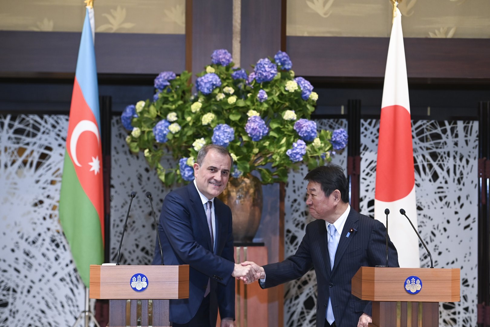 Azerbaijan, Japan hold strategic talks in high-level meeting (PHOTO)