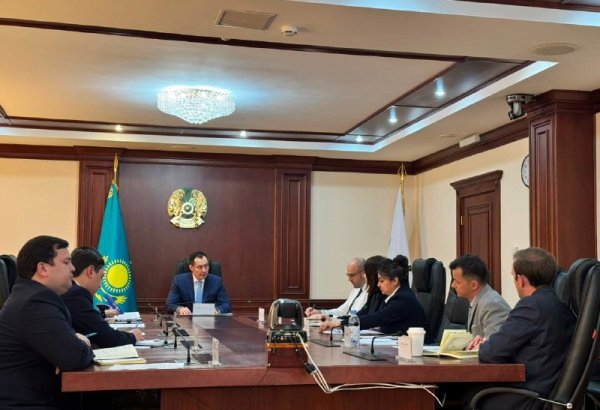 Kazakhstan, Fitch discuss oil and gas investment prospects