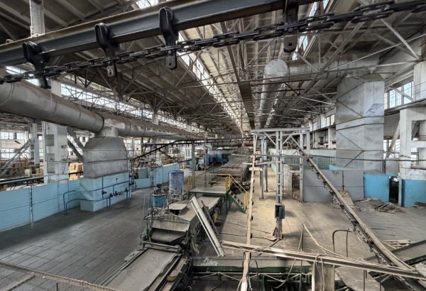 Kyrgyzstan develops industrial park on basis of Mailuu-Suu lamp plant