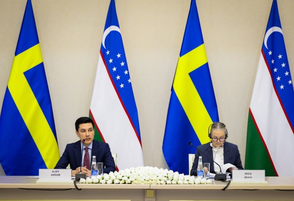 Uzbekistan, Sweden deepen ties through business and investment talks