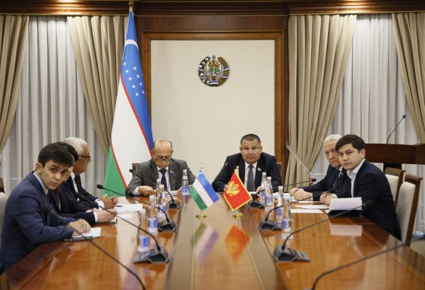 Uzbekistan, Montenegro discuss strengthening interparliamentary ties