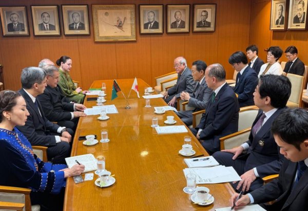Turkmenistan, Japan discuss parliamentary and economic cooperation