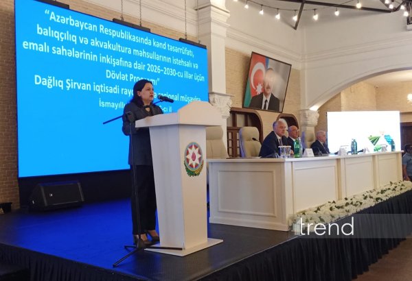 Azerbaijan introduces targeted measures to enhance wheat production efficiency
