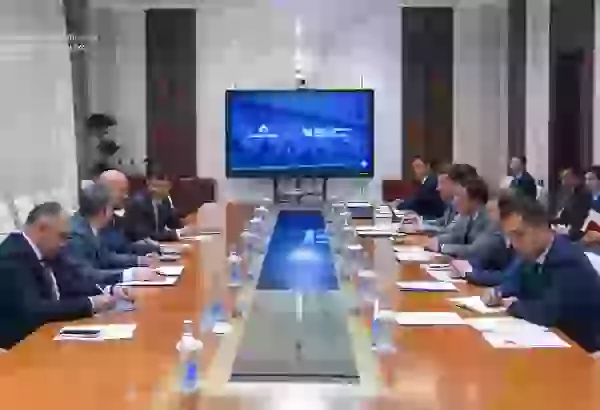 Uzbekistan, Türkiye's Anadolu Group discuss expanding industrial co-op