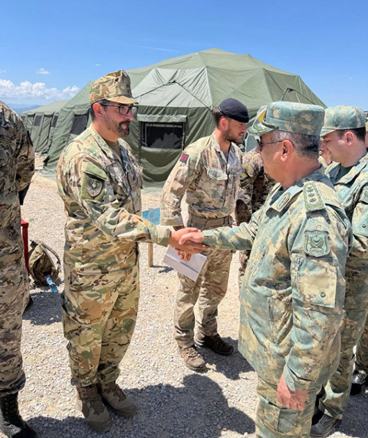 Distinguished Visitors Day is held within “Platinum Wolf 26” exercise