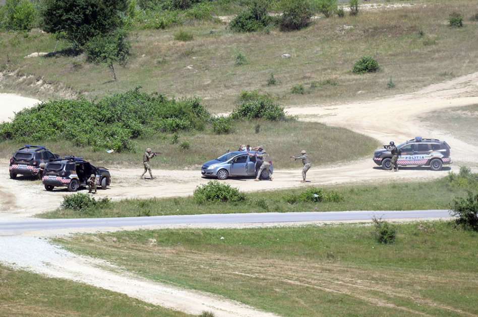Distinguished Visitors Day is held within “Platinum Wolf 26” exercise