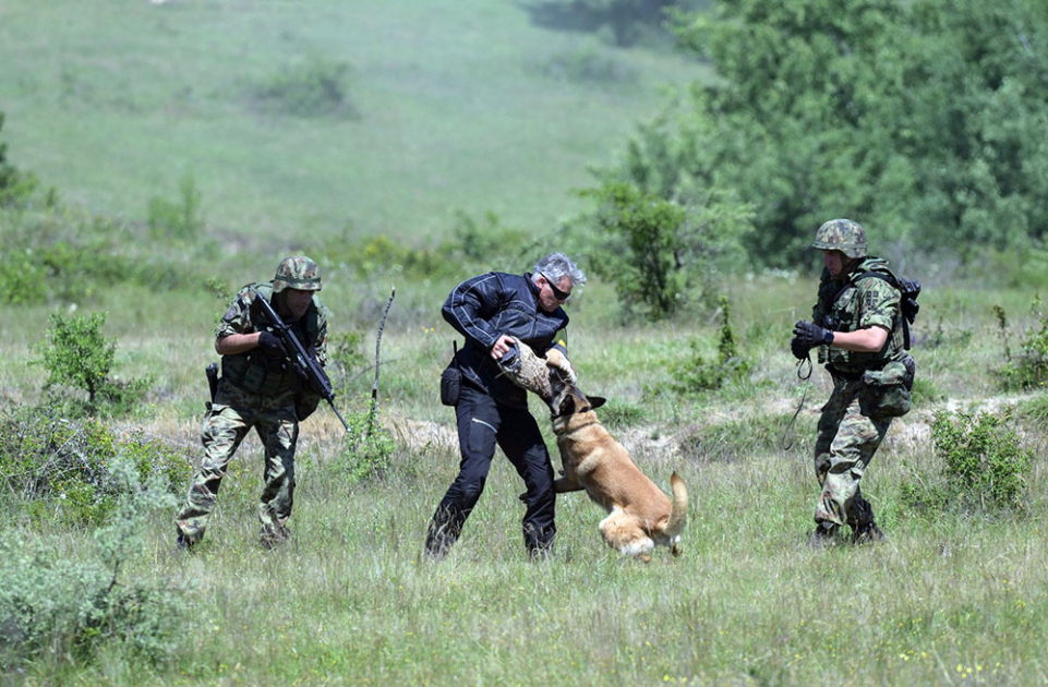 Distinguished Visitors Day is held within “Platinum Wolf 26” exercise