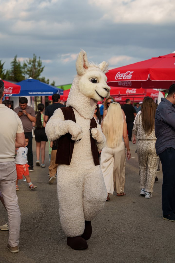 First day of International Barbecue Festival in Shamakhi (PHOTO/VIDEO)