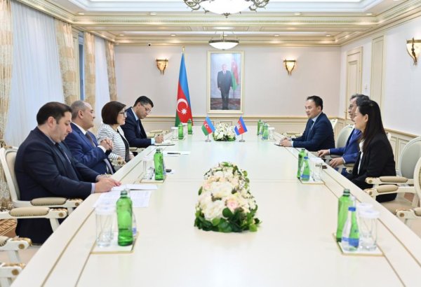 Azerbaijan and Cambodia highlight positive political dialogue (PHOTO)