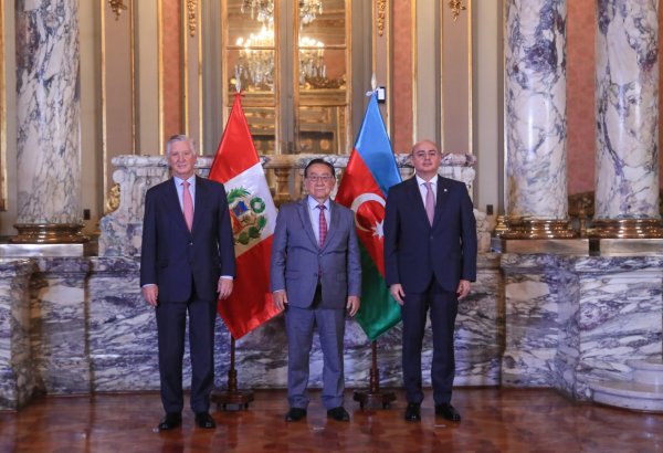 Azerbaijani ambassador presents credentials to President of Peru (PHOTO/VIDEO)