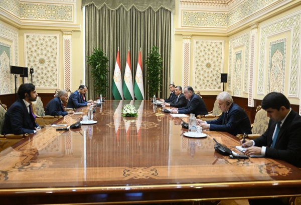 Tajikistan, Qatar’s Faisal Holding discuss expansion of investment cooperation