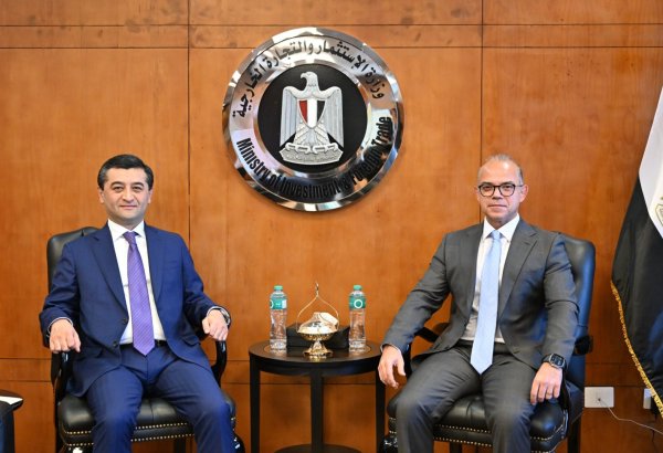 Uzbekistan, Egypt explore new frontiers to expand economic co-op