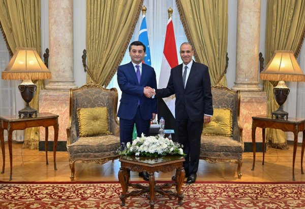 Uzbekistan, Egypt hold substantive talks to deepen strategic co-op